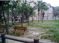 大庄公園-1